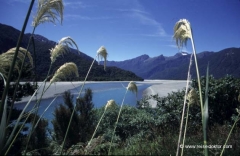 neuseeland-rundreisen neuseeland-rundreisen