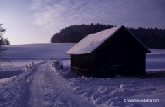 oesterreich-schnee oesterreich-schnee