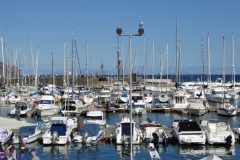 hafen-in-funchal