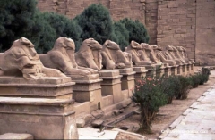 aegypten-luxor