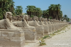 luxor-tempel