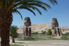 memnon-kolosse