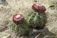 nationalpark_aruba