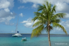 karibik_bonaire