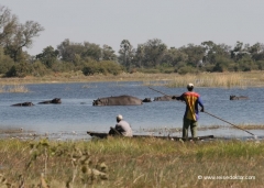 botswana-okowango-delta