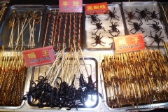 insekten_nachtmarkt_china