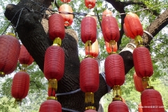 peking_lampen_china