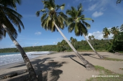 grenada-straende