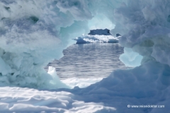 eisberge_groenland