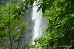 guadeloupe_carbet_wasserfall