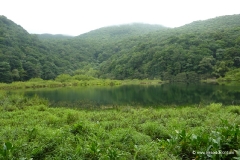 guadeloupe_grand_etang