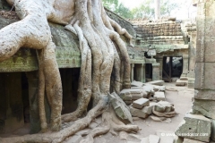 angkor-wat