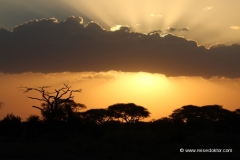 sonnenuntergang-masai-mara