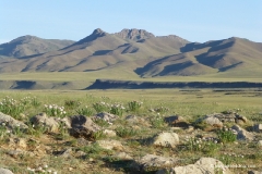 mongolei