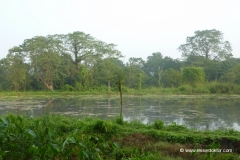 chitwan-nationalpark-nepal