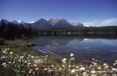 kanada-jasper-nationalpark_0