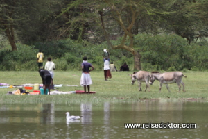 Lake Naivasha