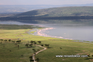 Lake Nakuru, Flamingos