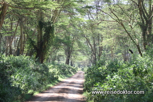 Kenia: Lake Nakuru Nationalpark