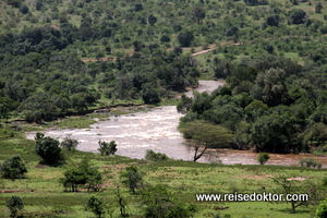 Mara River