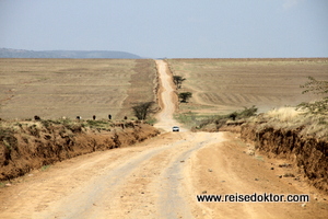 Straße in die Masai Mara