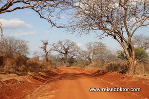 Strasse im Tsavo Nationalpark
