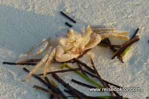 Strandleben auf Kuba