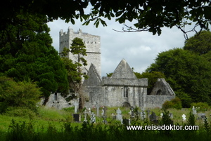 Muckross Abbey