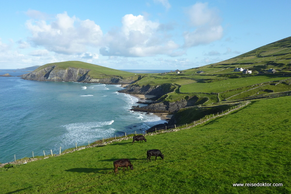 Buchten auf der Halbinsel Dingle, Irland