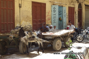 Gasse in Luxor