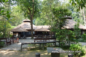 Chitwan Jungle Lodge