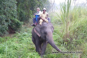 Elefanten reiten im Chitwan Nationalpark