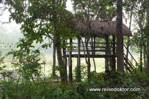 Tierbeobachtung Chitwan Nationalpark