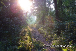 Wanderung im Chitwan Nationalpark