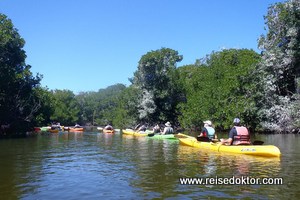 Kajakfahrt im La Restinga Nationalpark, Isla Margarita