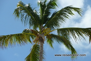 Palma am Playa Bavaro, Punta Cana