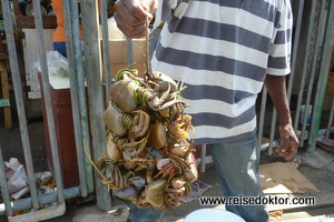 Krabben am Markt von Scarborough auf Tobago