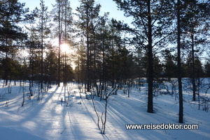 Winter in Finnland