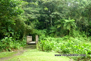 Grand Etang - Wanderung auf Guadeloupe