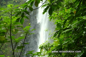 Guadeloupe Carbet Wasserfall