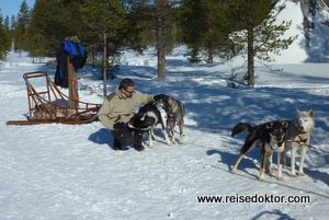 Husky Hundeschlitten Reisen