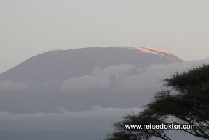 Sonnenuntergang am Kilimanjaro