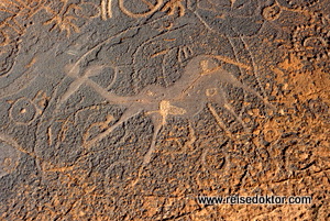 Dancing Kudu, Twyfelfontein