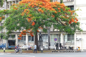 Mauritius, Port Louis