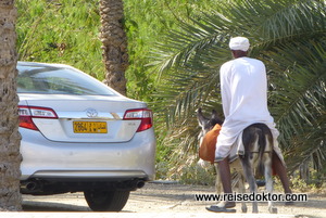 Esel & Auto im Oman