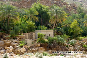 Wadi Tiwi im Oman