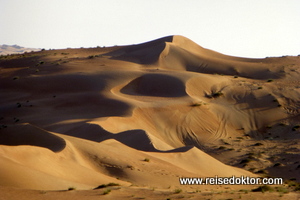 Wahiba Sands Oman