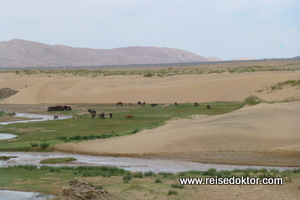 Sanddüne in der Mongolei