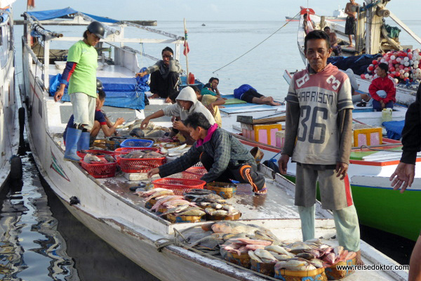 Fischerboote Sulawesi