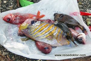 Fischfang Sulawesi